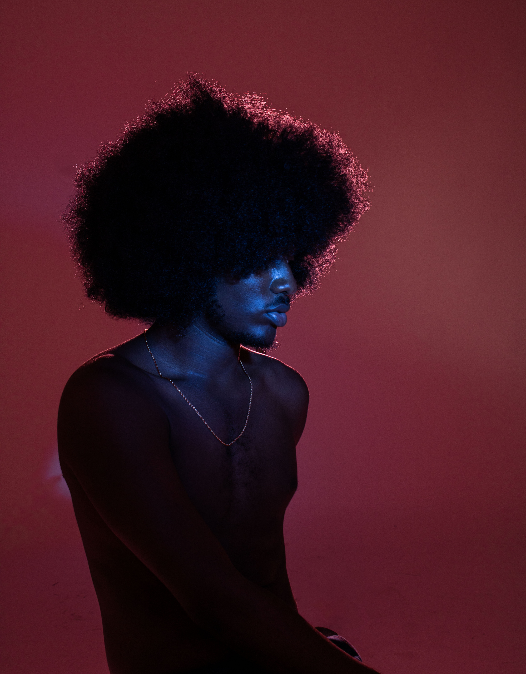 04_Collins_Donniae_20x24