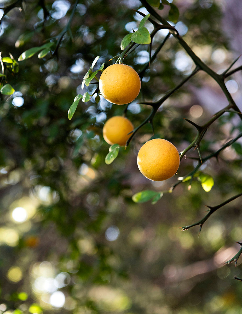 EyakemGulilat_AIR_06