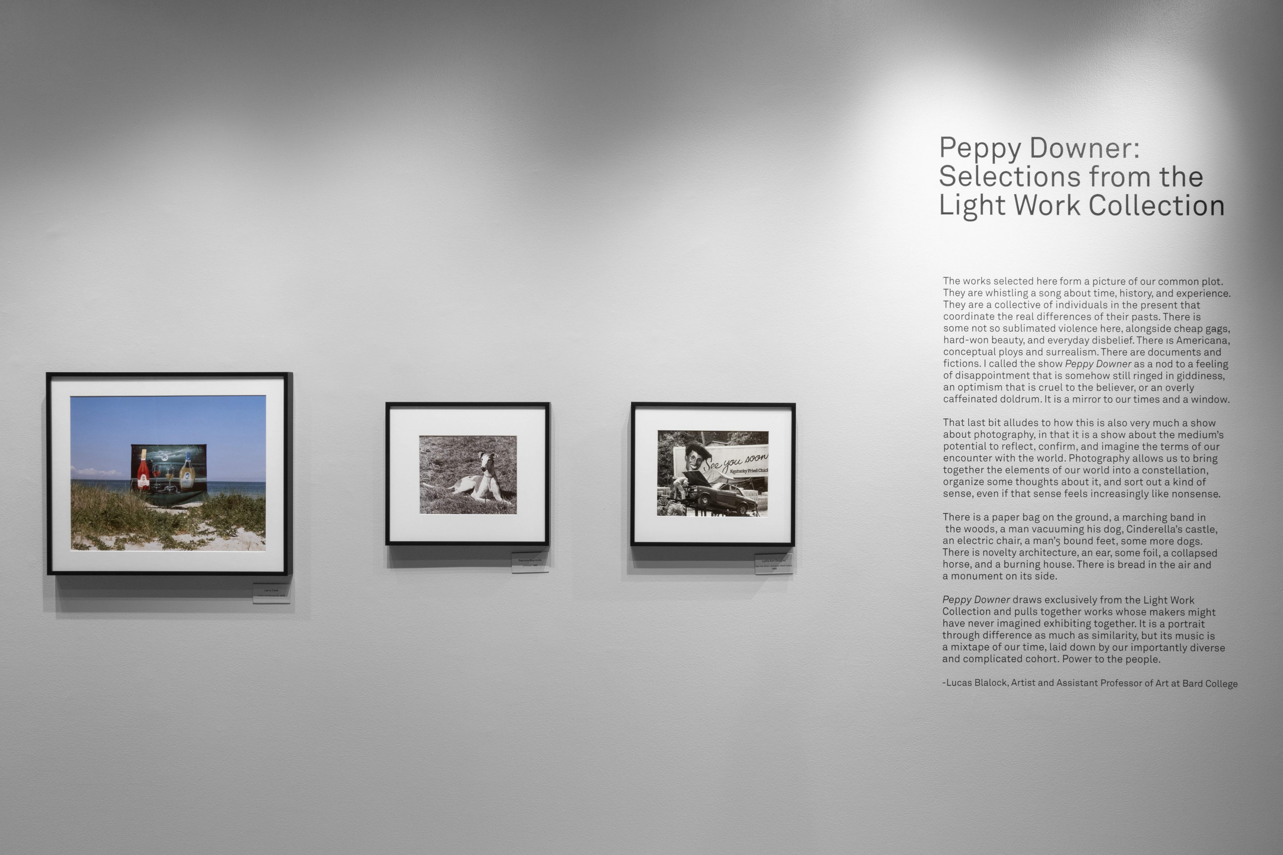 Peppy_Downer_2025-9