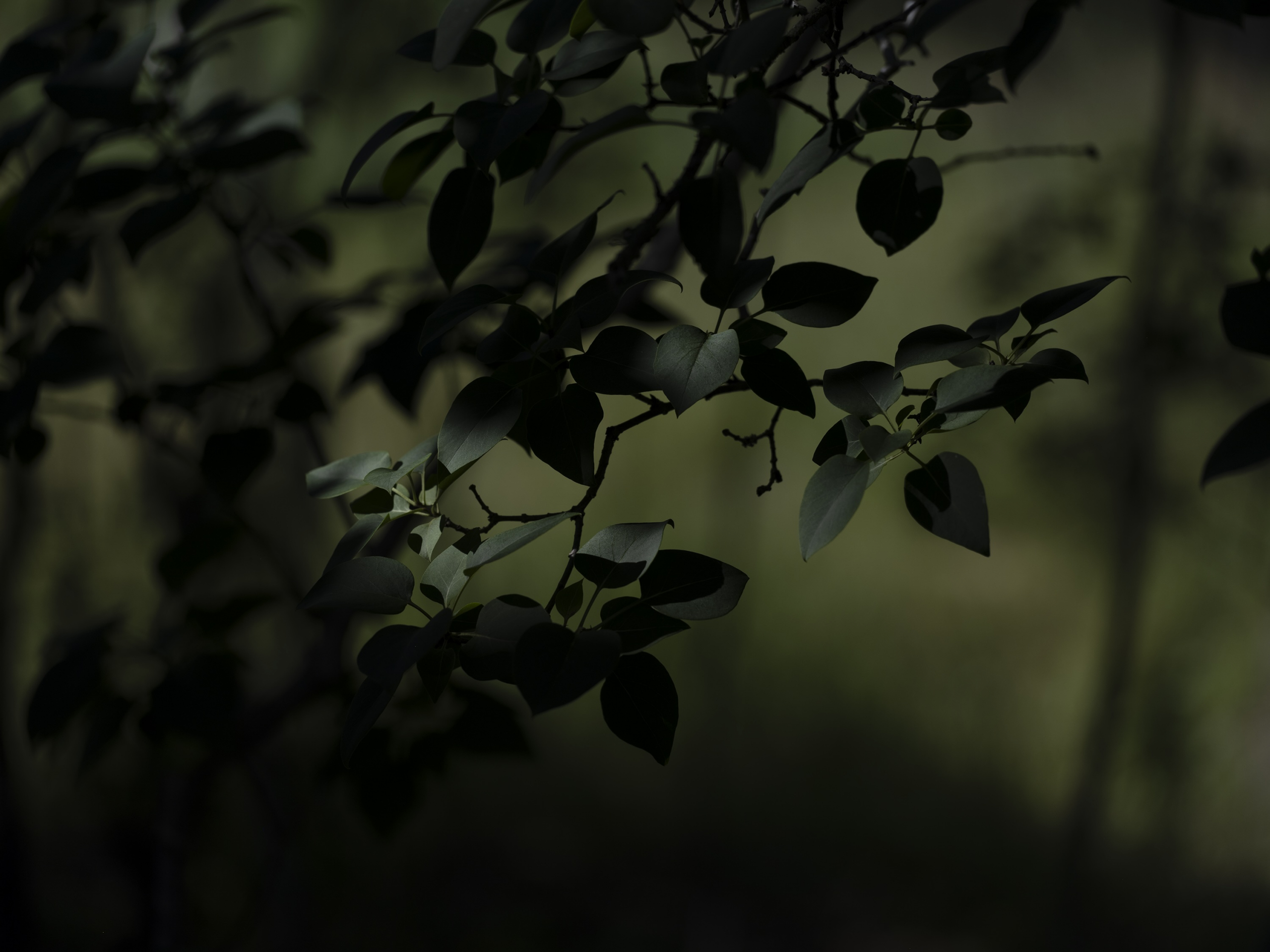 Unblended Heredities (1)