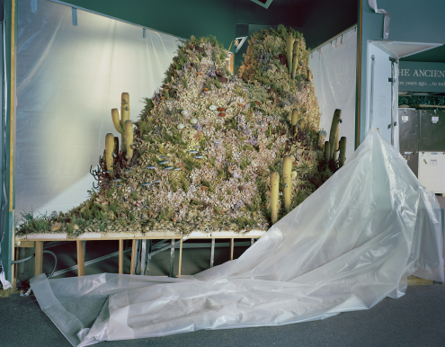 Dioramas II (Cactus Mountain