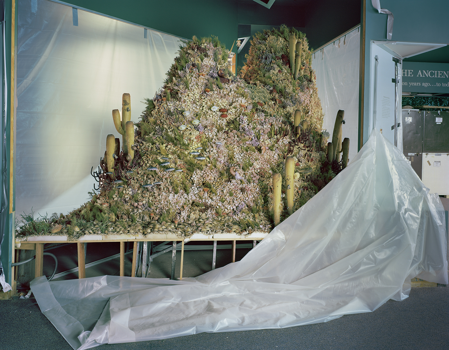 Dioramas II (Cactus Mountain Dioramas II (Cactus Mountain